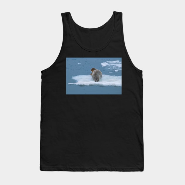 Arctic Seal Hitching a Lift Around Svalbard Tank Top by MartynUK